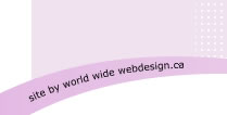 World Wide Webdesign.ca, Professional Website Design and E-Commerce Solutions